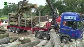 Tree to Heat - The Sustainable Wood Fuel Supply Chain