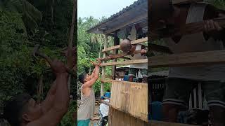 Palpak na helper #khemyattv #funny #comedyclips #justforfun #comedy #justlaughtrip #comedyvideos