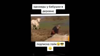 как в деревне весело