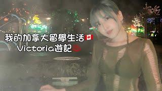 我的加拿大留學生活｜Victoria遊記️