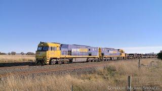 4PM4 Pacific National Steel Train With NR15 & NR101 At Gheringhap Loop (23/6/2024) - PoathTV