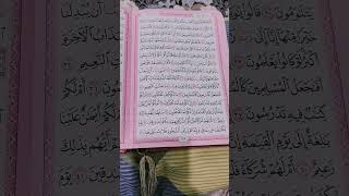 ما لكم كيف تحكمون