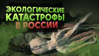 КРУПНЕЙШИЕ ЭКО-КАТАСТРОФЫ В РОССИИ