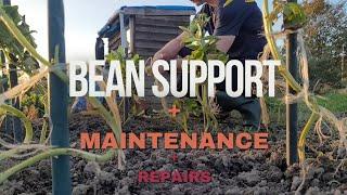 BEAN SUPPORT + MAINTENANCE + REPAIRS ON THE ALLOTMENT