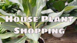 Home Depot Big Box House Plant Shopping Tour with Buying Tips Florida