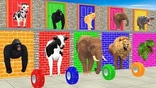 Cow Elephant Lion Gorilla T-Rex Don’t Break The Wrong Wall ESCAPE ROOM CHALLENGE Animals Tire Game