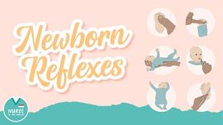 Newborn Reflexes » Maternity Nursing