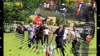 WHITE RIVER WITH JOCKEY D. DAVID WIN THE DUCHESSE 2019