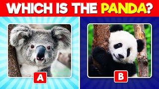 Guess the Correct Animal Quiz | Animal Trivia