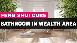 Feng Shui Cure for Bathroom in Wealth Area - Say Goodbye to Financial Drain
