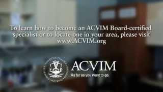 Why It's So Great to Be an ACVIM Diplomate