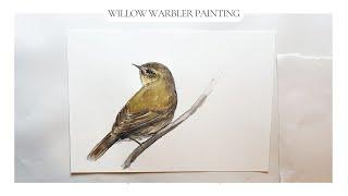 Painting Tutorial,  a lovely little Willow Warbler in watercolour, gaining a little confidence.