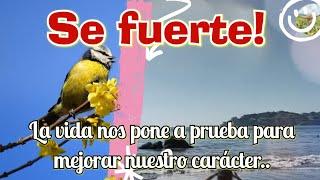 La vida nos pone a prueba, tienes que ser fuerte.. Feliz tarde