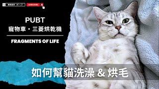 如何幫貓洗澡＆烘毛｜三菱烘被機、PUBT寵物推車 #funny #cat #pets #cute #pets #cuteanimals【AJ極簡貓奴】