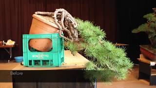 Mario Pavone's Bonsai demo