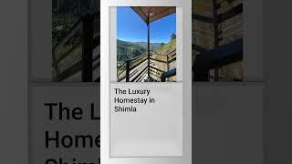 Luxury Homestay in Shimla