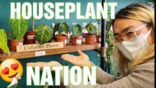 Shopping for Houseplants! Rare and Uncommon Beauties at Houseplant Nation