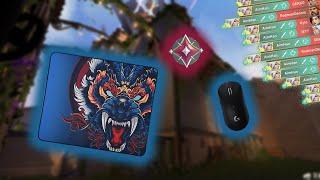 I Tried Tiger Gaming Mousepad in Valorant