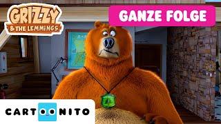 Grizzys Schule | Grizzy und die Lemminge | GANZE FOLGE | @CartoonitoDE