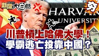 【#精選】川普槓上哈佛大學！禁收國際生.嗆砍30億美元補助！學霸大逃亡集體投靠中國？【#新聞大白話】#川普#哈佛大學#國際生