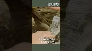 俄烏雙方兵力與訓練問題突出，戰場僵持不下 #俄烏戰爭 #軍事 #烏克蘭 #俄羅斯
