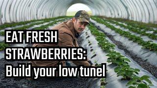 DIY Garden Hack That Will DOUBLE Your Growing Season