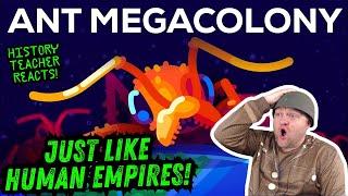 The Billion Ant Mega Colony and the Biggest War on Earth | Kurzgesagt | History Teacher Reacts