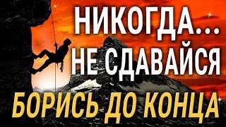 Держи Удар, Борись До Конца и Никогда Не Сдавайся! Как же Мудро Сказано!