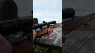 Parker Hale 30-06 with Diamondback Tactical 4-12x40