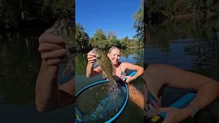 Wife jumps into water to catch my snagged smallmouth bass - Part 2  #kayakfishing #smallmouthbass