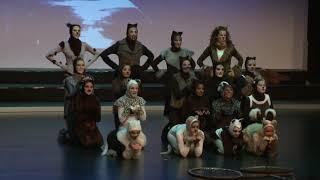 Cats Showcase 2012 Kreadance DiVa
