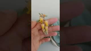 haste floral da minha echeveria