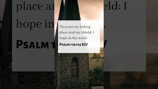 Psalm 119:114 #bookofpsalms #Psalm119 #Shelter #Refuge #Shield #LivingWord #SecretPlace