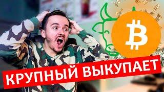 Осторожно! Крупный капитал беспощадно выгребает БИТКОИН. Возможные сценарии.