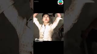 柔弱女孩覺醒絕世武功，一把小刀秒殺所有惡霸！【城寨英雄】#功夫  #动作