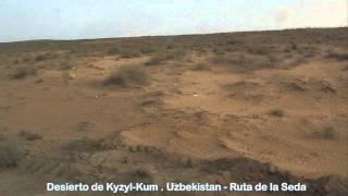 Desierto de Kyzyl-Kum. Uzbekistán