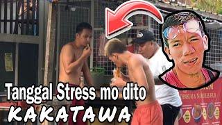 Tanggal Stress kakatawa mo ditoAnton Video