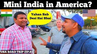 Mini INDIA in AMERICA   | NEW JERSEY | USA Road Trip (Ep.8)