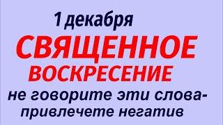 1 декабря народный праздник День Платона и Романа. Что делать нельзя. Народные приметы.