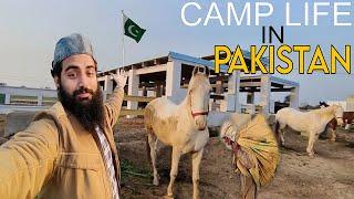 Camp Life In Pakistan  | 20,00000 kay Horses 