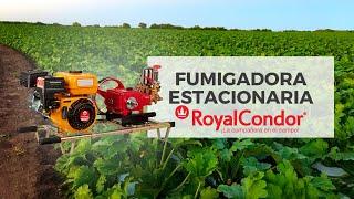 Fumigadora estacionaria Royal Cóndor | Punto Equipos