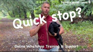 Progressing retrieves starting stop work Vlog Ep-4