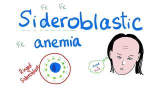 Sideroblastic Anemia - Lead Poisoning - Vitamin B6 Deficiency - Ringed Sideroblasts - Hematology