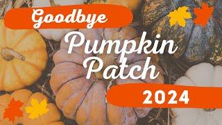 Goodbye Pumpkin Patch 2024