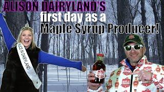 First day as a Maple Syrup maker!
