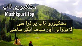 Mushkpuri Top | Mushkpuri Top Hiking | Mushkpuri Top in Summer