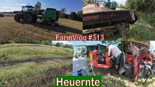 Farmvlog #313: Heuernte unter erschwerten Bedingungen