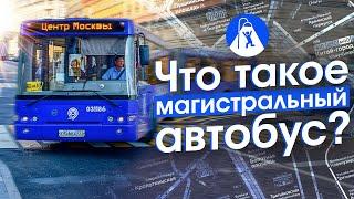 Зачем в Москве меняют и отменяют автобусы. Реформа Магистраль в центре и на юге Москвы