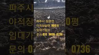 파주시  탄현면  갈현리 접근성굿!!   잡종지 야적장임대   임대평수900평  임대가협의!  저렴  문의 010  9656  0736