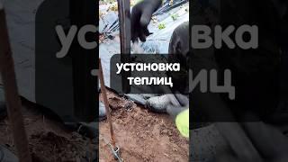 Не БАЛАГАН и не теплица. Собираем каркас. Размер  5*20 м. Высота 2.5 м.